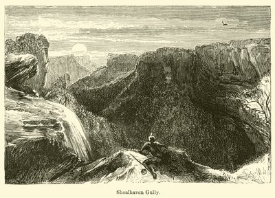 Shoalhaven Gully by Harden Sidney Melville